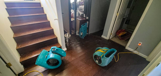 Best Fire Damage Restoration  in Clifton, TX