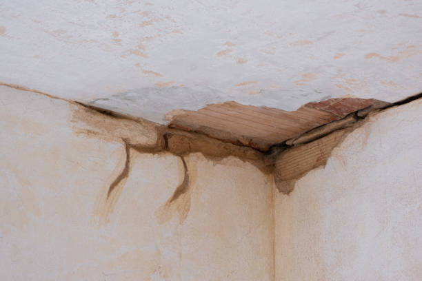 Best Carpet water damage restoration  in Clifton, TX
