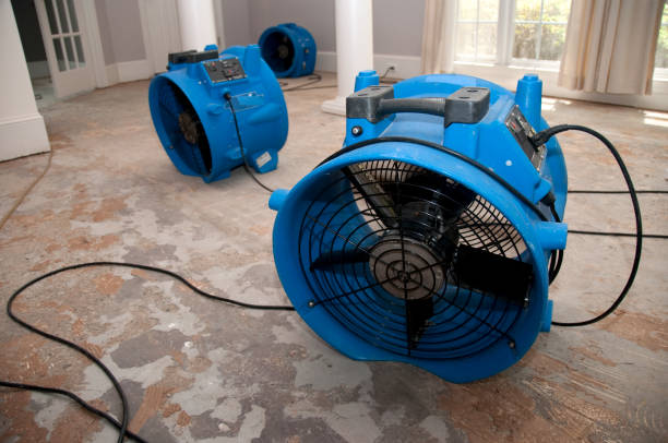 Best 24-hour water damage restoration  in Clifton, TX