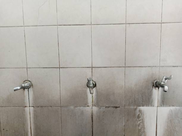 Best Sewage cleanup and water damage restoration  in Clifton, TX
