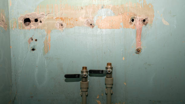 Best Basement water damage restoration  in Clifton, TX