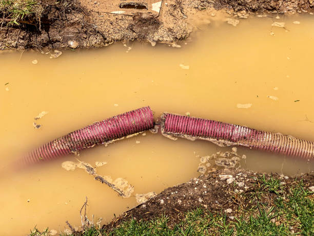 Best Emergency water damage restoration  in Clifton, TX