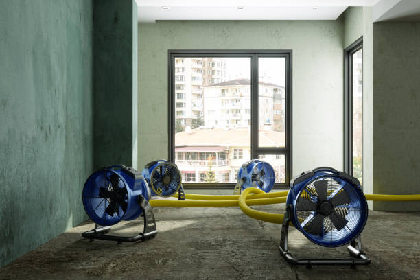 Best 24/7 water damage repair  in Clifton, TX